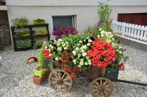 2 rue Bel Air - 6